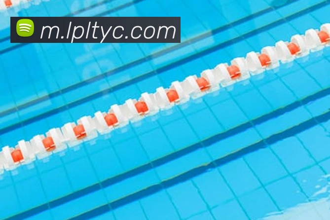 太阳城网站平台生态图