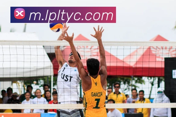 太阳城网站APP 封面图